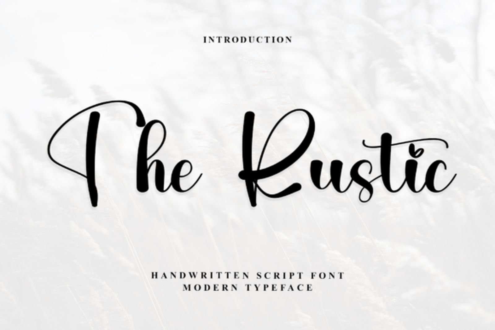 The Rustic Font by Black line
