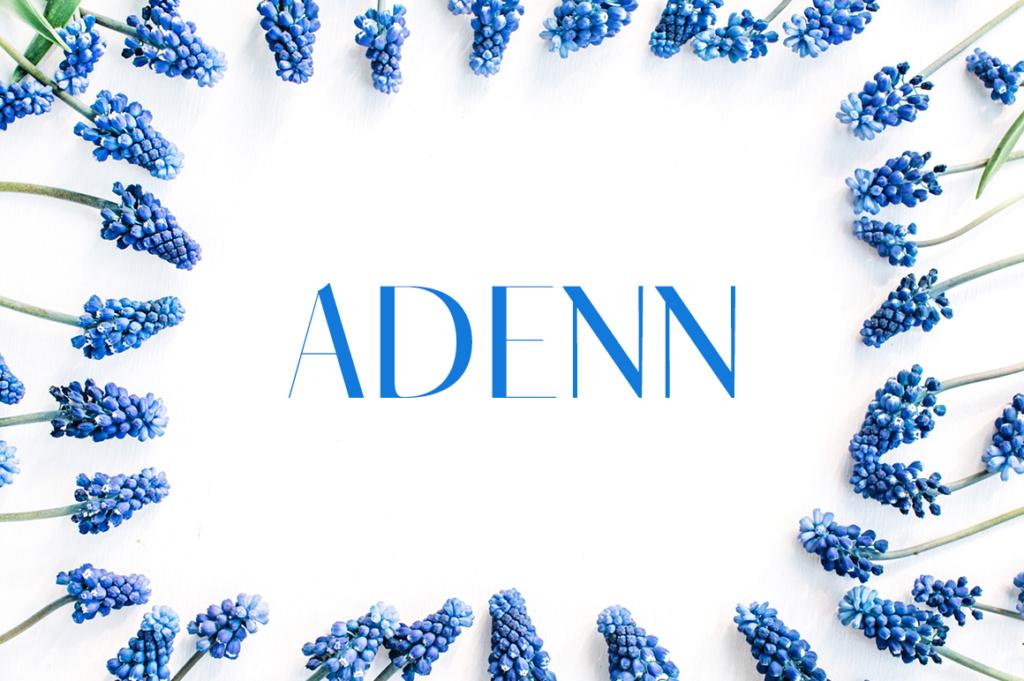 Adenn Font by creativetacos, high contrast sans serif font preview