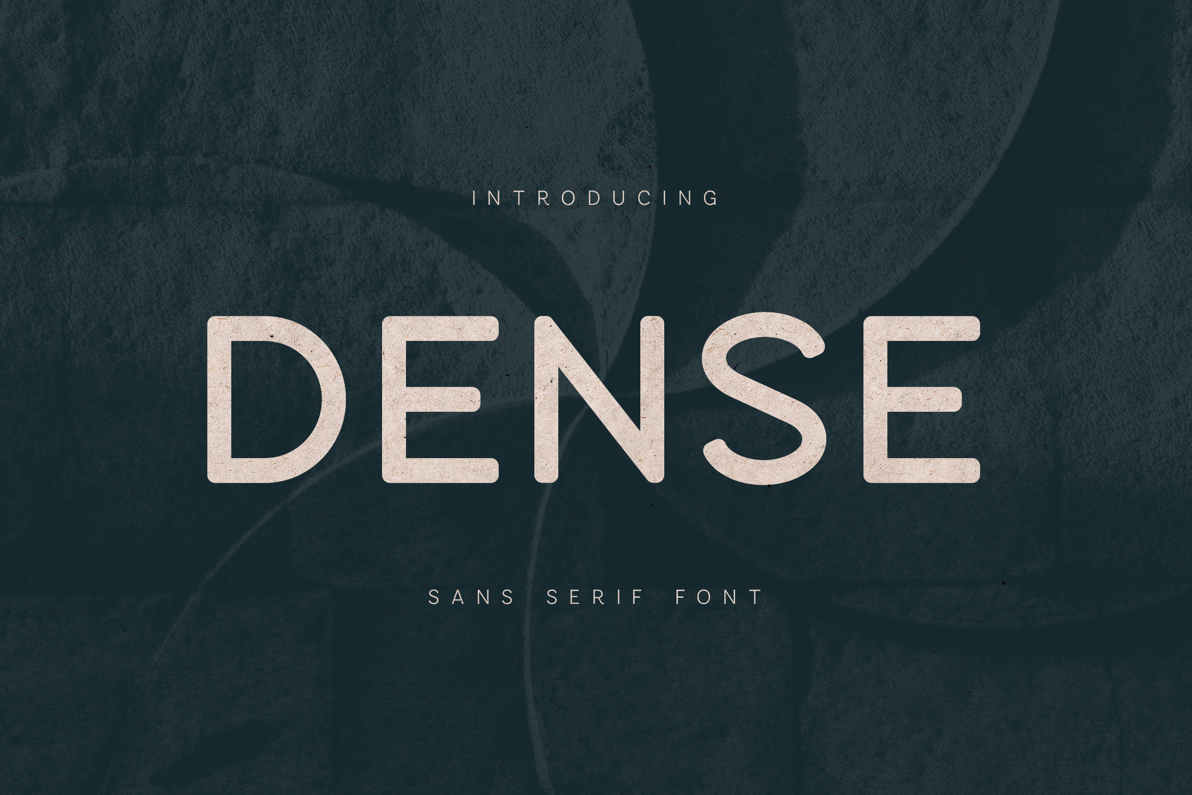 Dense Font by vladfedotovv, modern minimal sans serif font preview