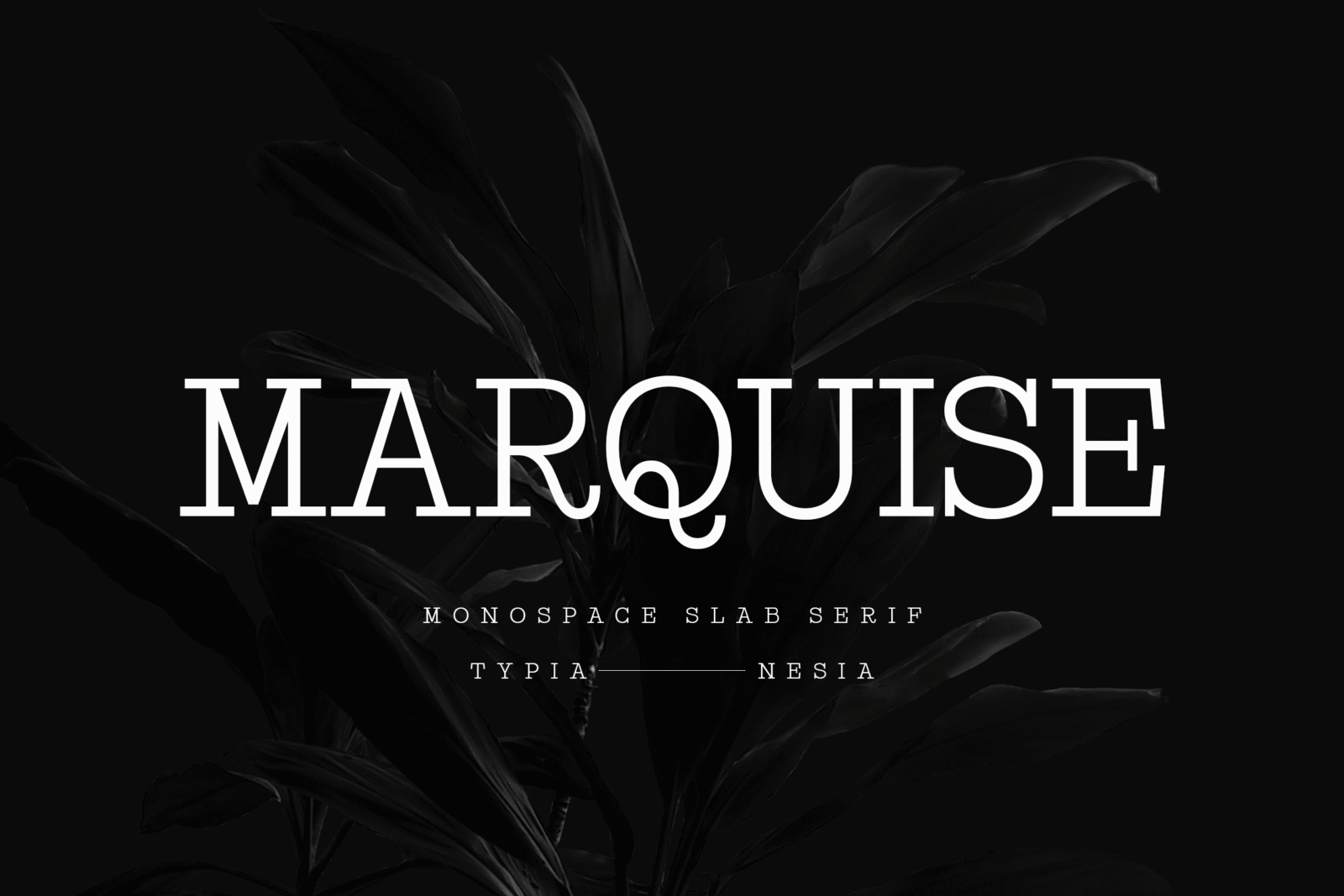Marquise Font by Typia Nesia, preview of the typeface