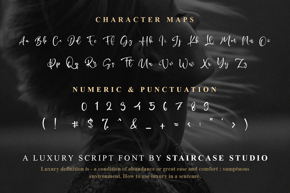 Panny Castie Font by staircasestudio20, luxury script character map with numbers font preview