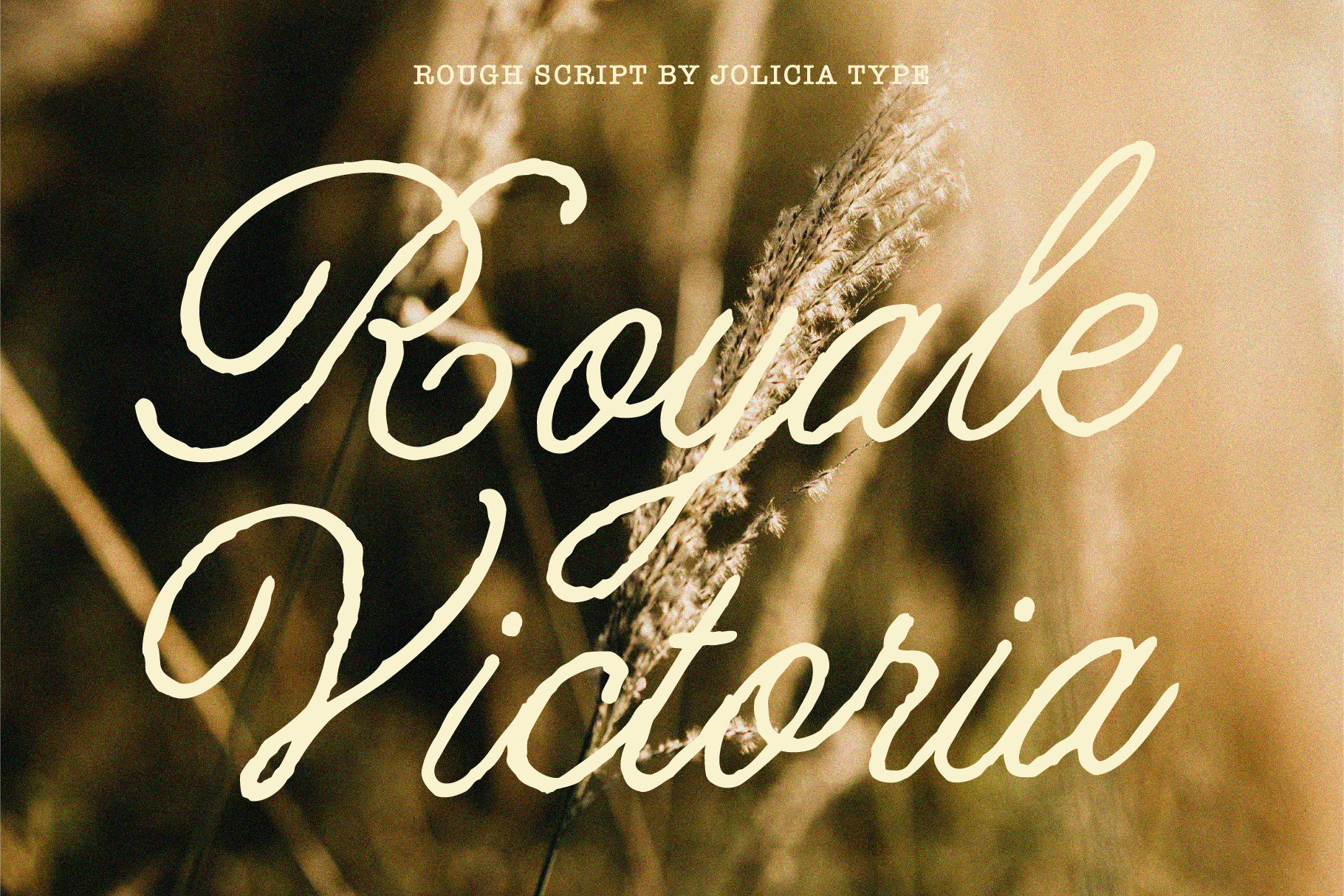 Royale Victoria Font by joliciatype, elegant wedding script font preview