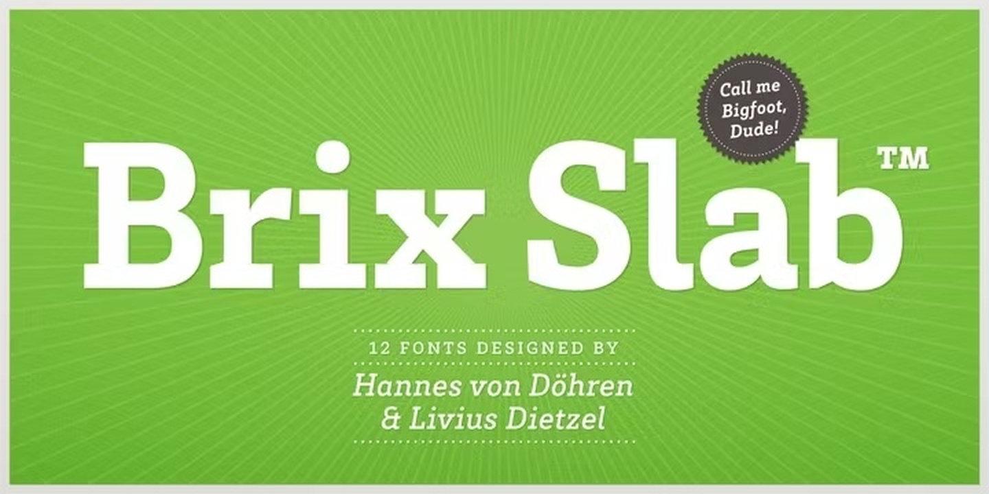 Brix Slab Font by Hannes von Döhren and Livius Dietzel — premium serif font on Fontspring