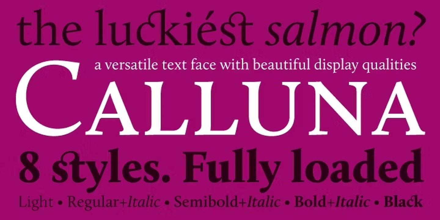 Calluna Font by exljbris Font Foundry — editorial serif font on Fontspring
