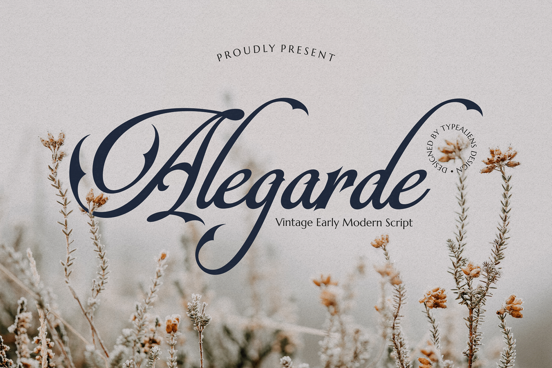 Alegarde Font by typealiens, vintage high-contrast script over dried flowers