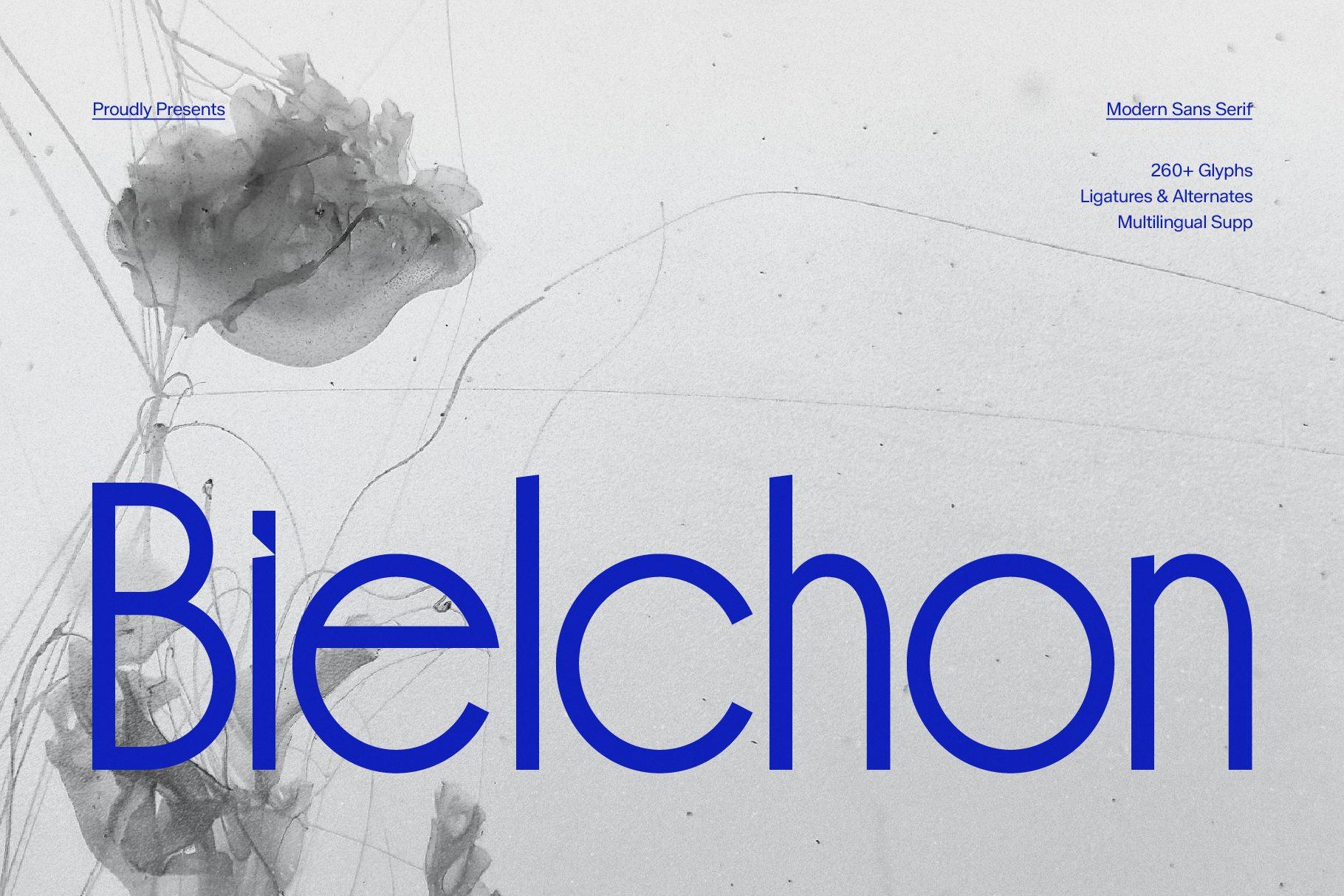 Bielchon Font by Gracetypestudio, clean blue sans serif title over a pale jellyfish photo