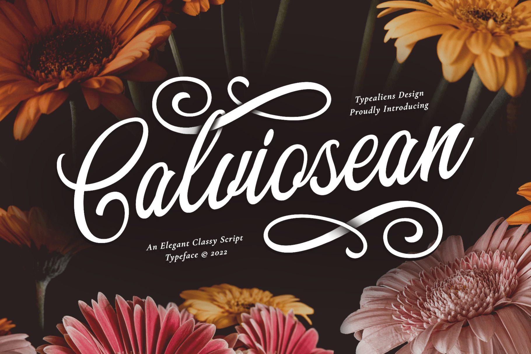 Calviosean Font by typealiens, white classy script with spiral swashes over flowers