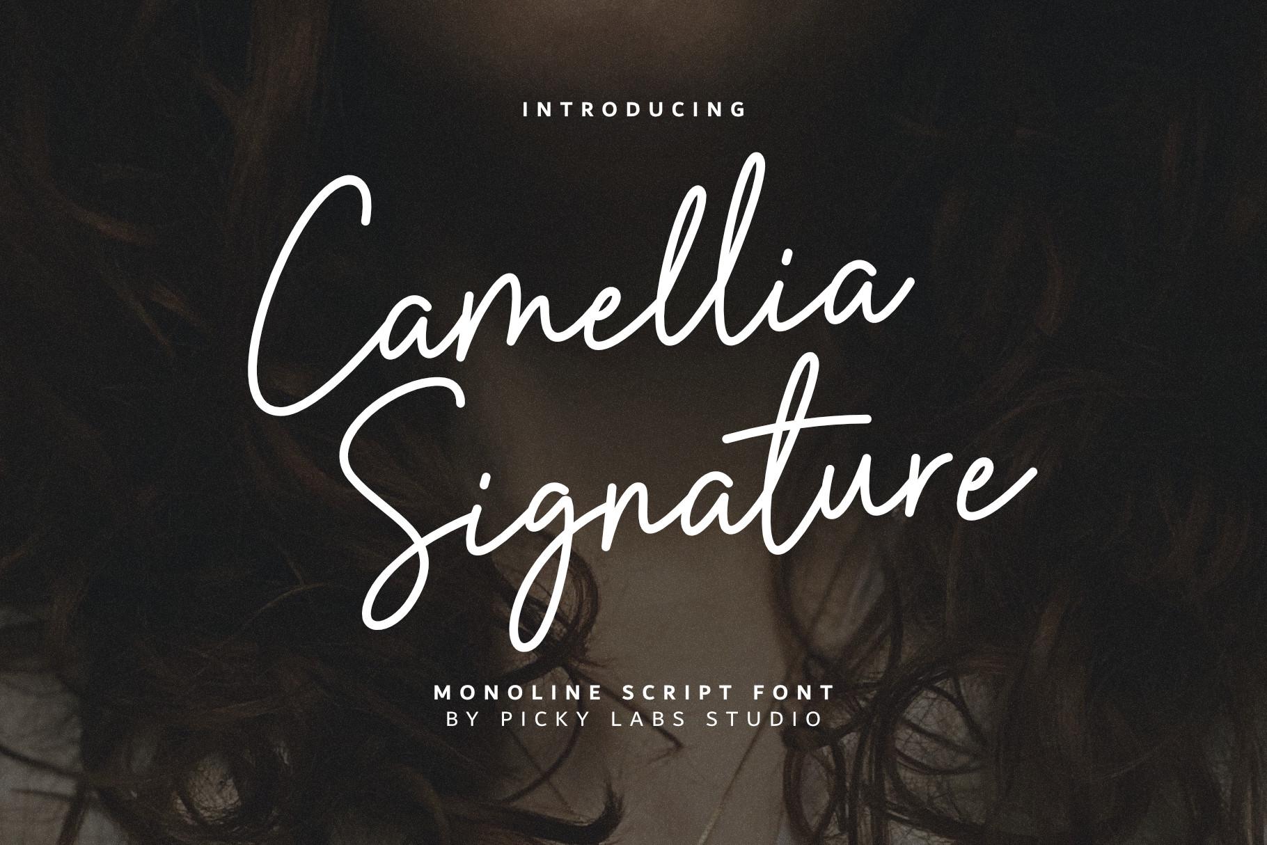 Camellia Signature Font by Picky Labs, white monoline signature script with slanted narrow letters