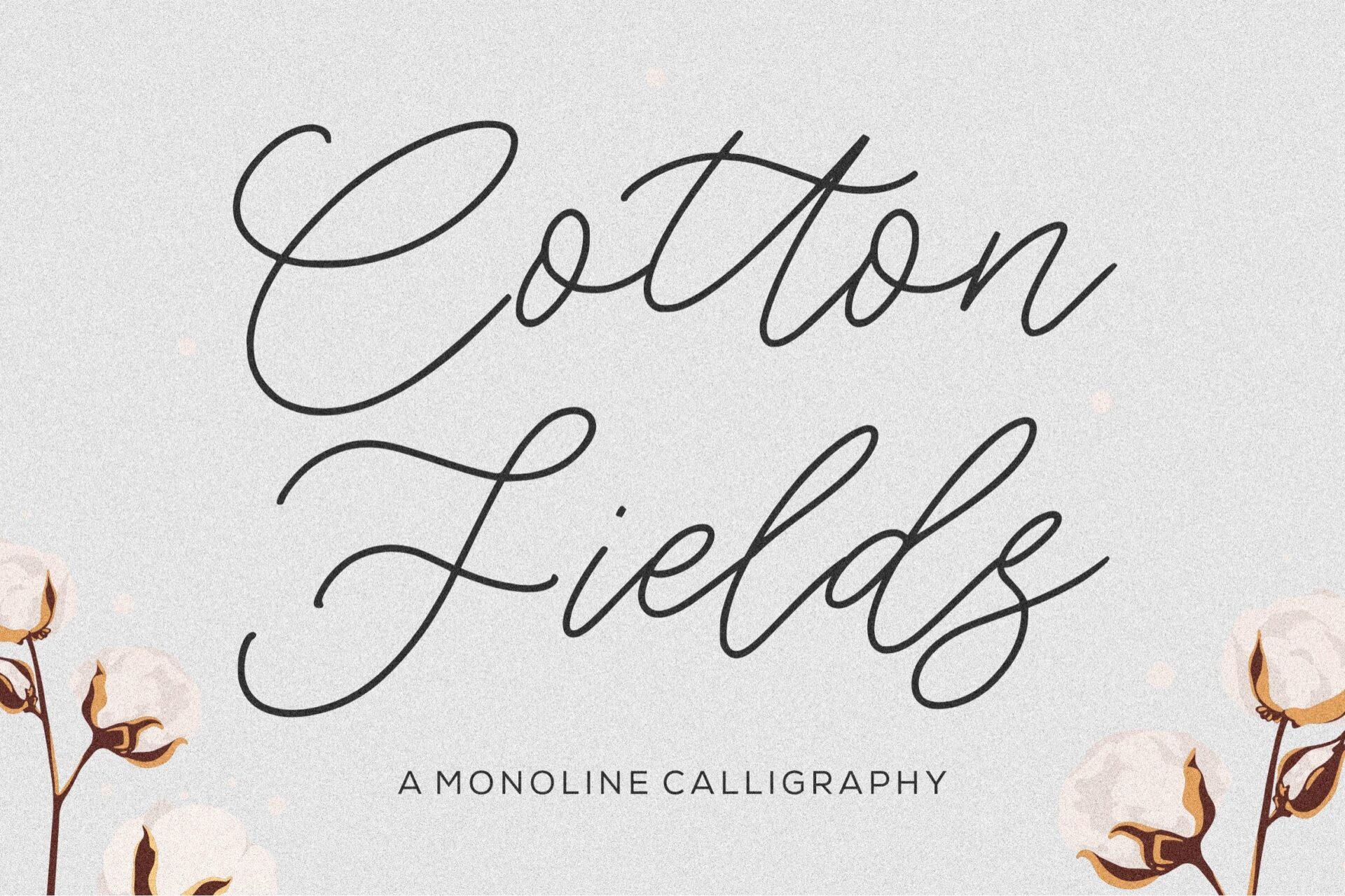 Cotton Fields Font by Balpirick, grey rounded monoline calligraphy with cotton branches