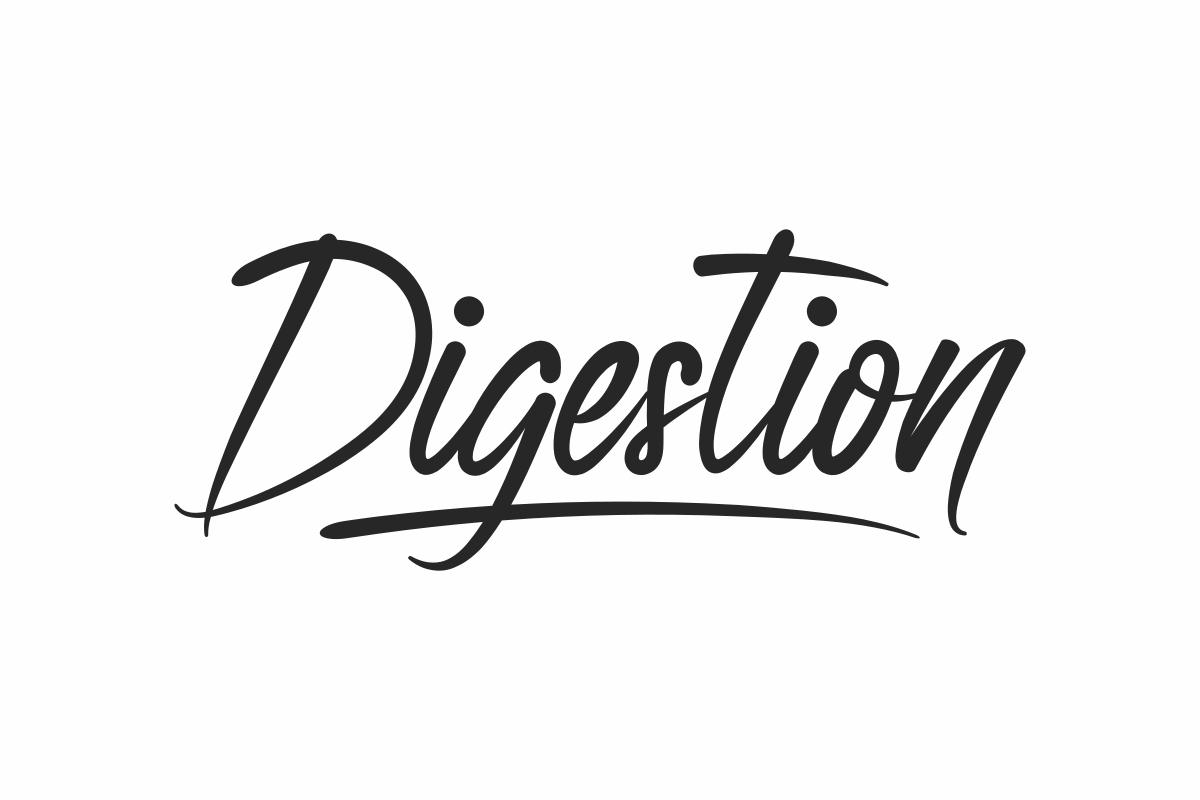 Digestion Font by NihStudio, slanted black brush script with a relaxed handwriting rhythm on white