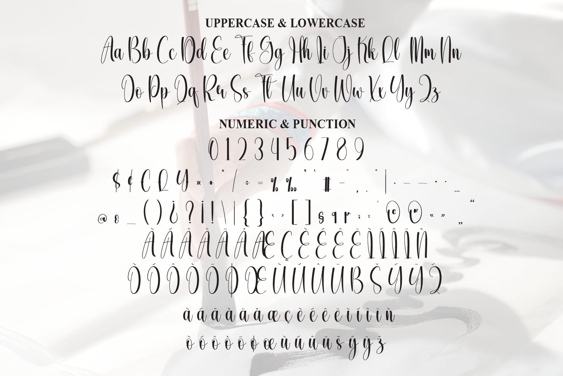 Elegant Calligraphy Font by Roronoa zoro.S.P.D alphabet with numbers, punctuation and accented characters