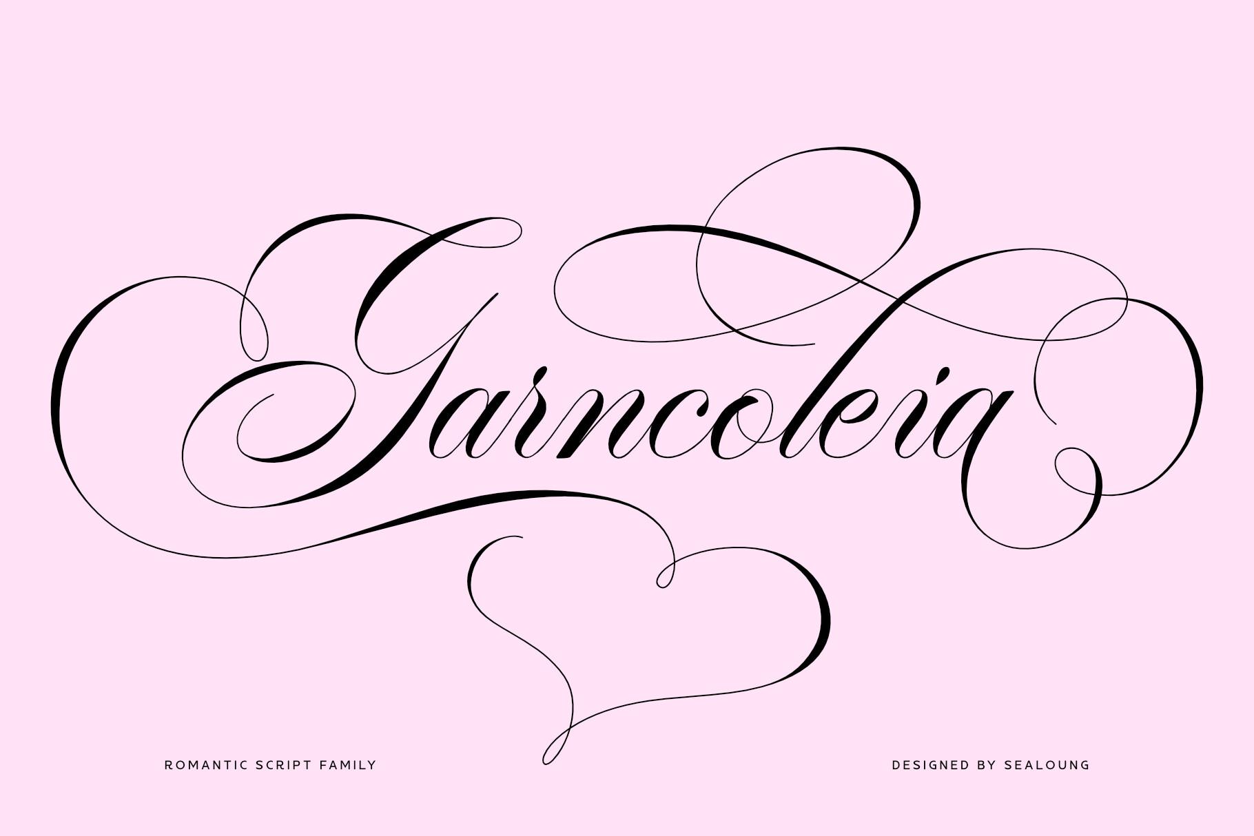 Garncoleia Font by Sealoung, hairline romantic script with large looping swashes forming a heart, tattoo font preview