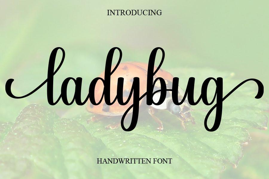 Ladybug Font by salma studio, bold handwritten script with tall ascenders and long tails