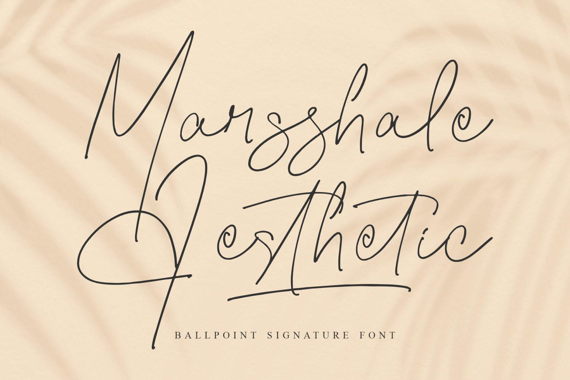 Marsshale Aesthetic Font by Perspectype, thin ballpoint signature with tall loops