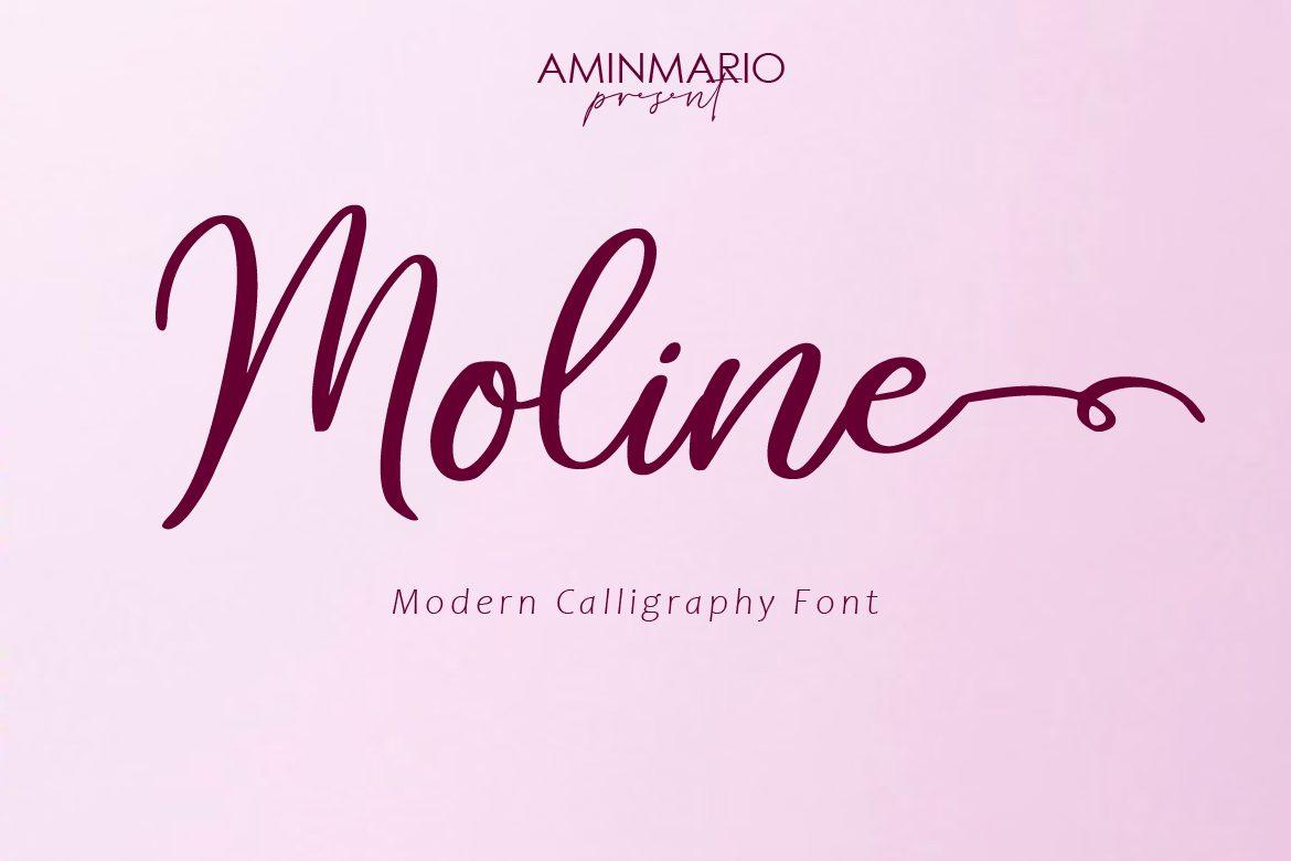 Moline Font by aminmario, modern calligraphy with swash ending
