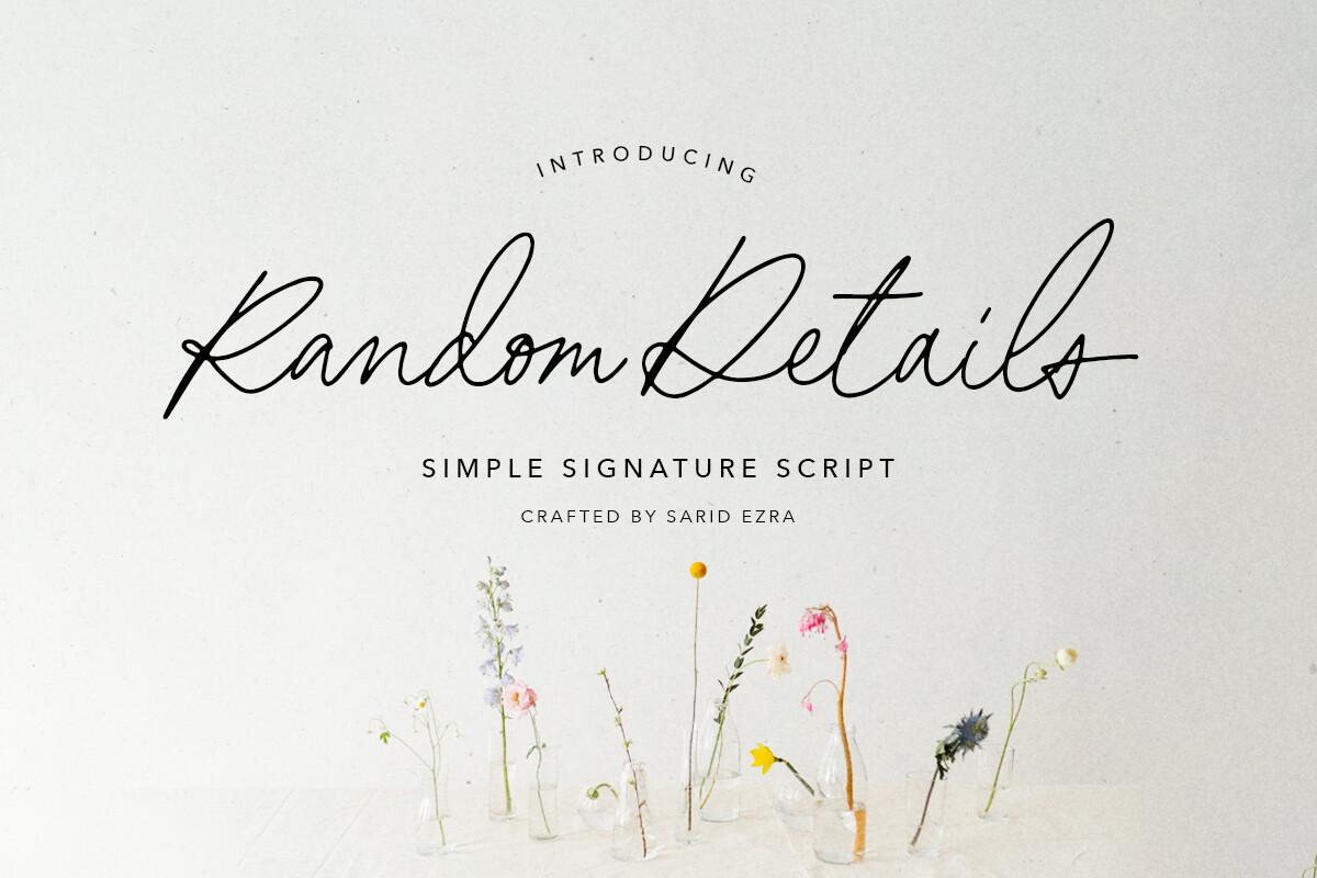 Random Details Font by saridezra, fast textured signature script font preview
