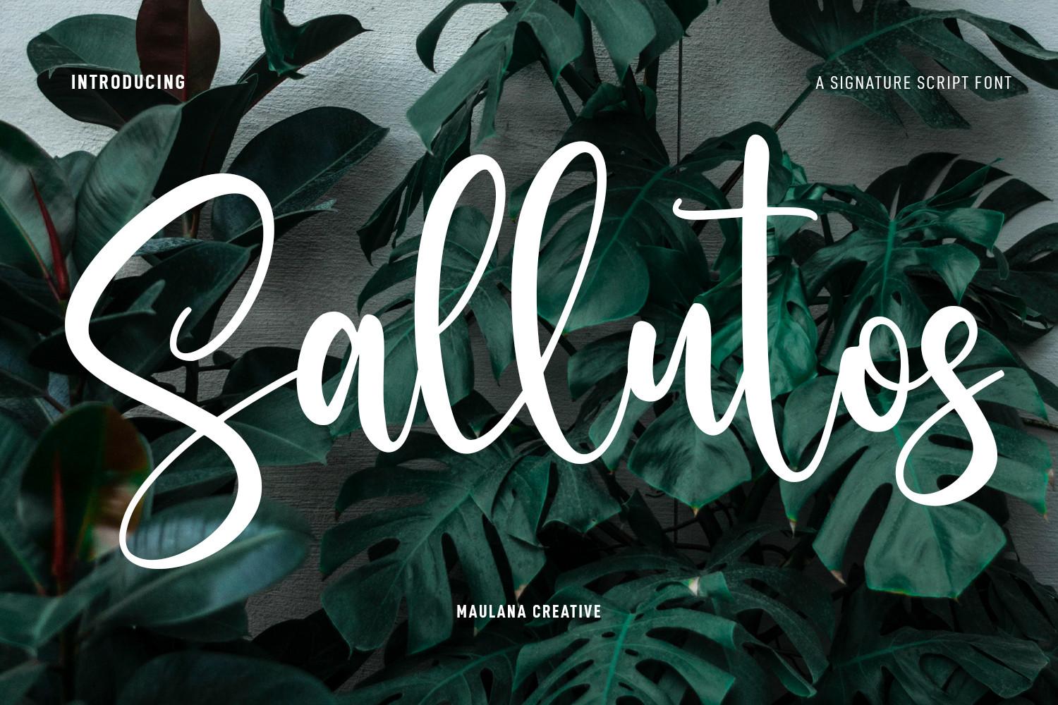 Sallutos Font by Maulana Creative, thick white brush script with very tall ascenders