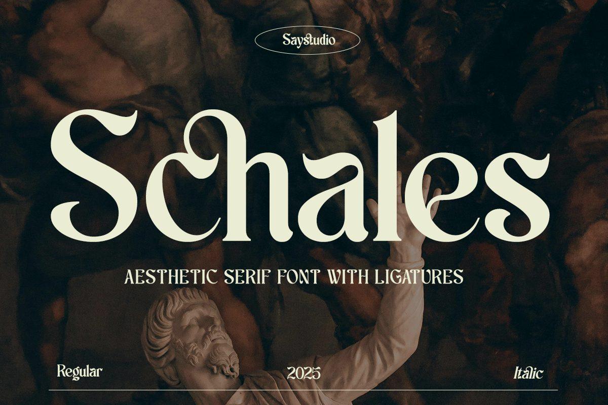 Schales Font by SayStudio, chunky soft serif with ligatures