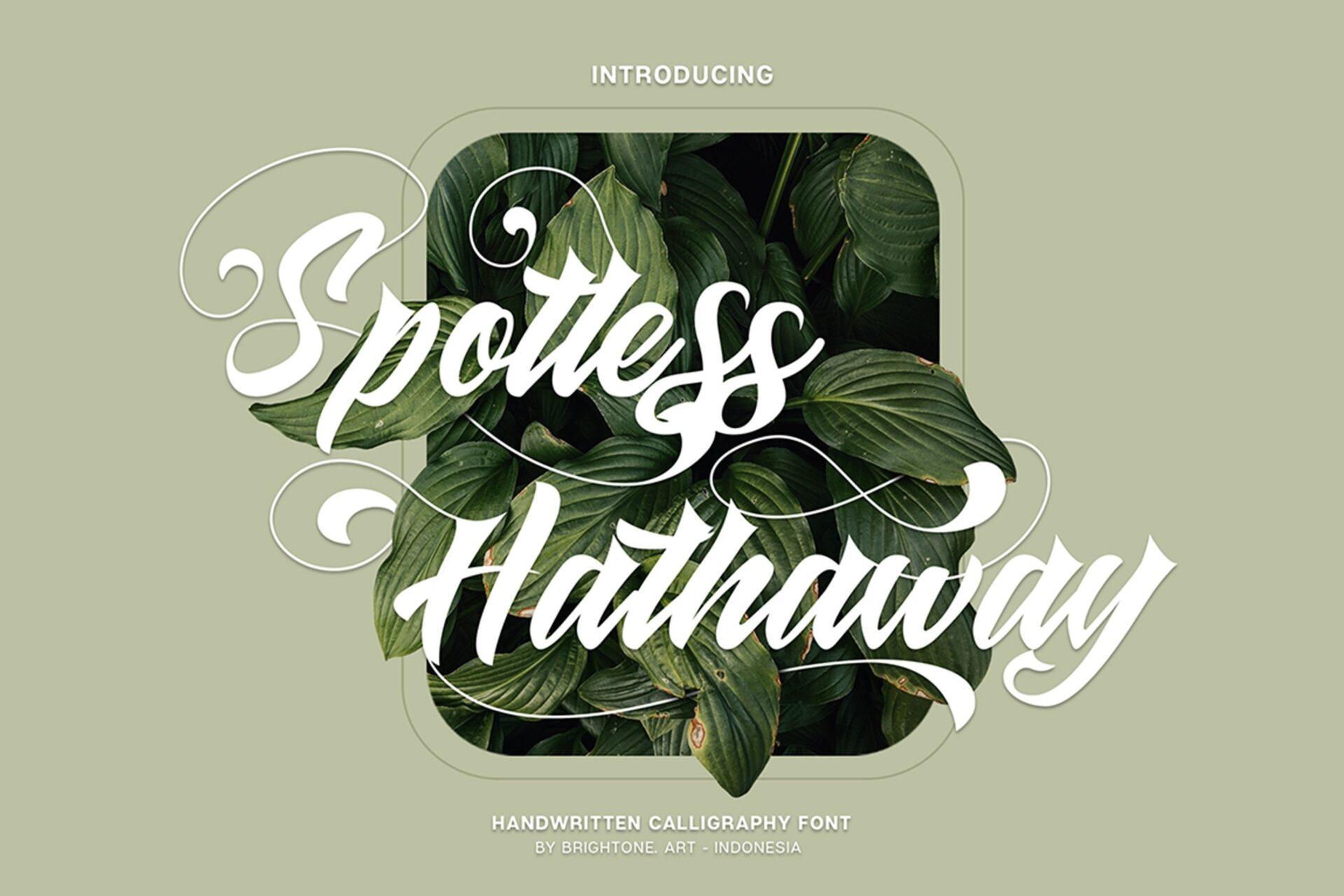 Spotless Hathaway Font by brightonexart, white brush script set on two lines over green leaves, tattoo font preview