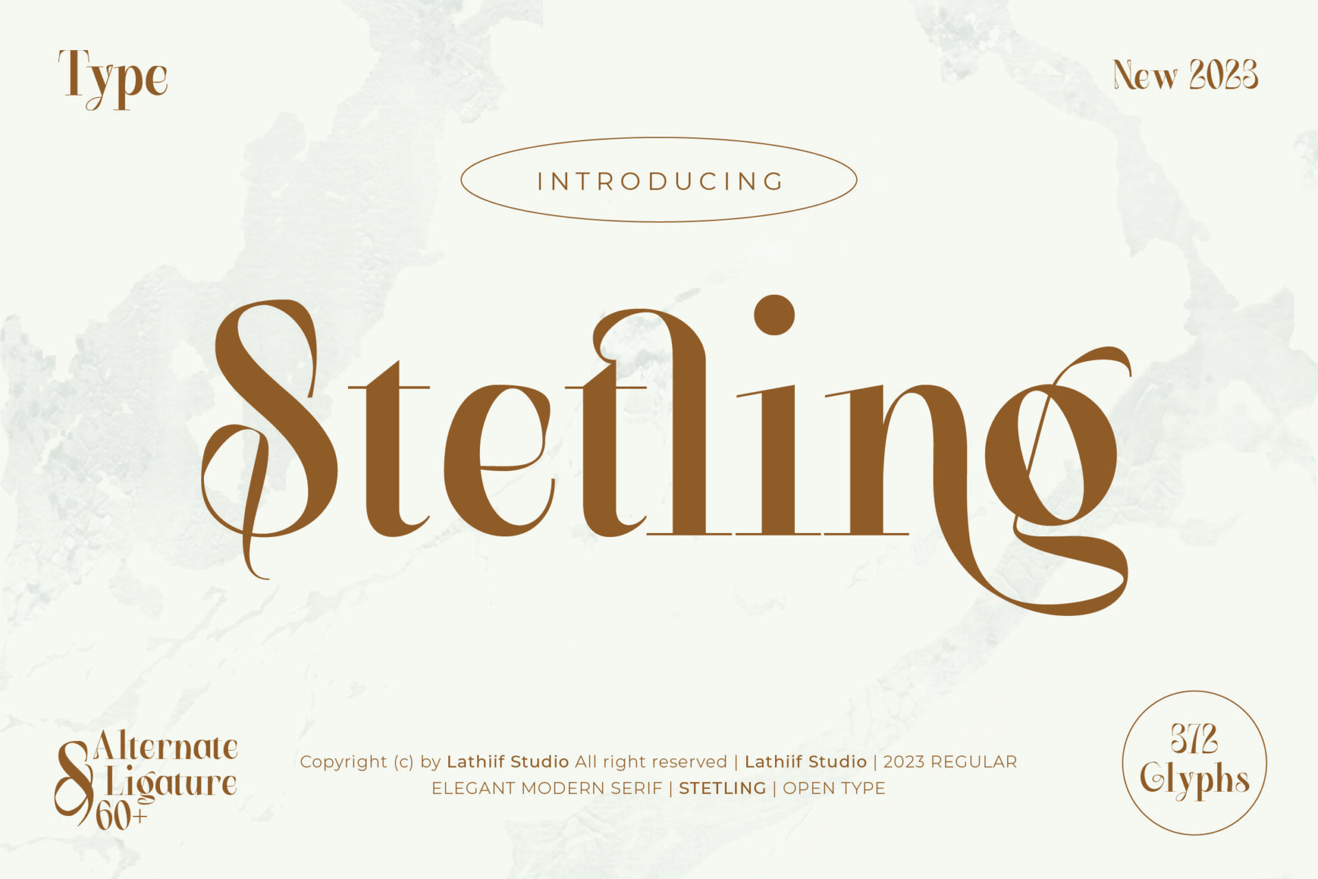 Stetling Font by Zeatype, elegant modern serif in brown