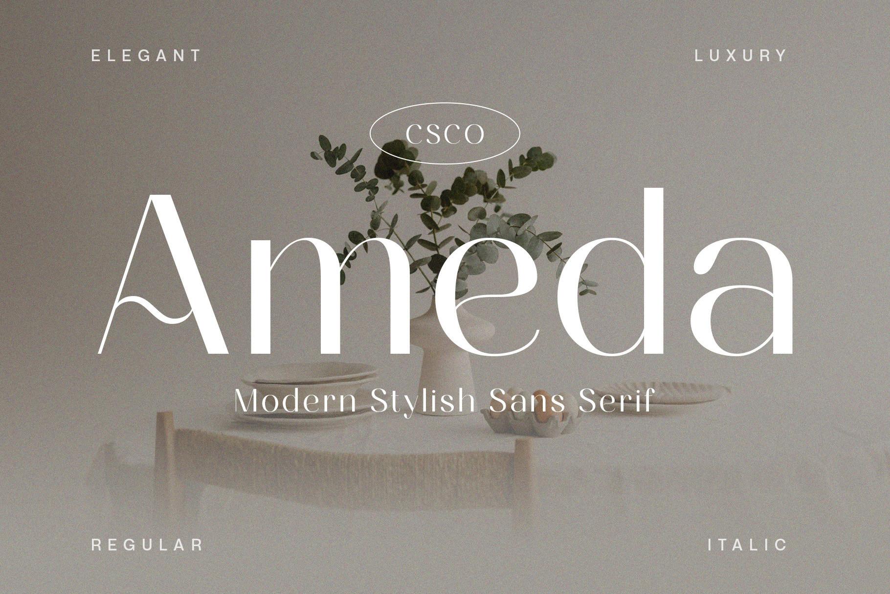 Ameda Font by craftsupplyco, stylish font preview