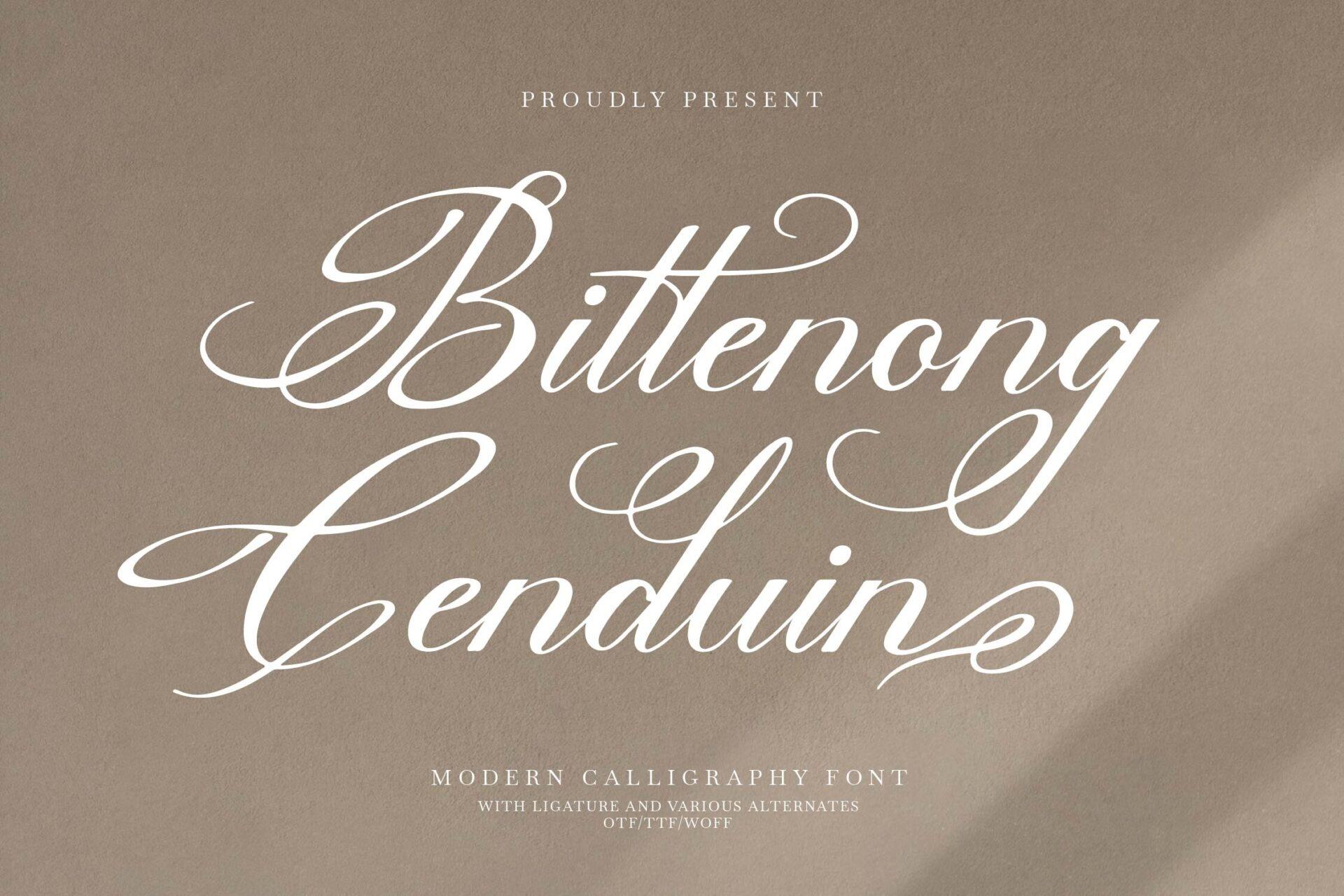 Bittenong Cenduin Font by Denustudios, stylish font preview