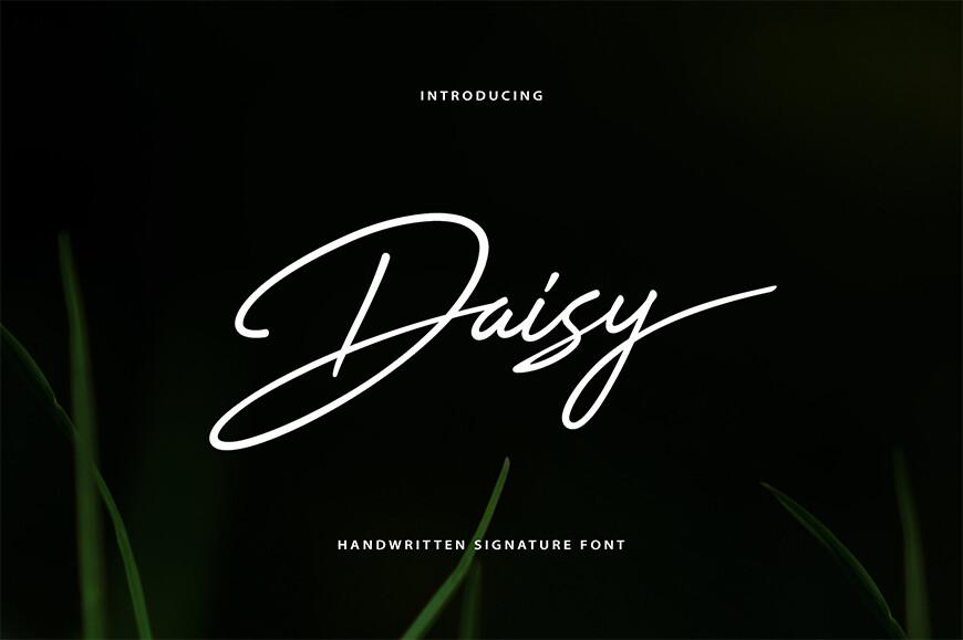 Daisy Font preview, handwritten signature font style