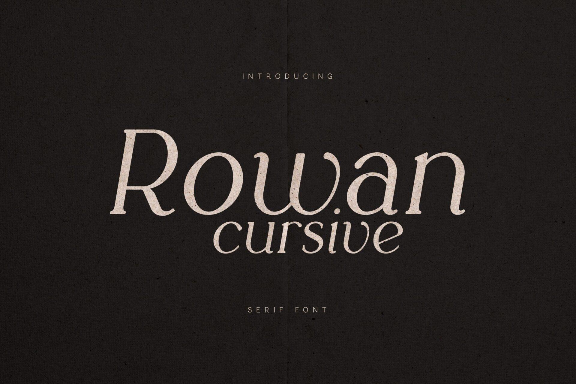 Rowan Cursive Font by vladfedotovv, preview