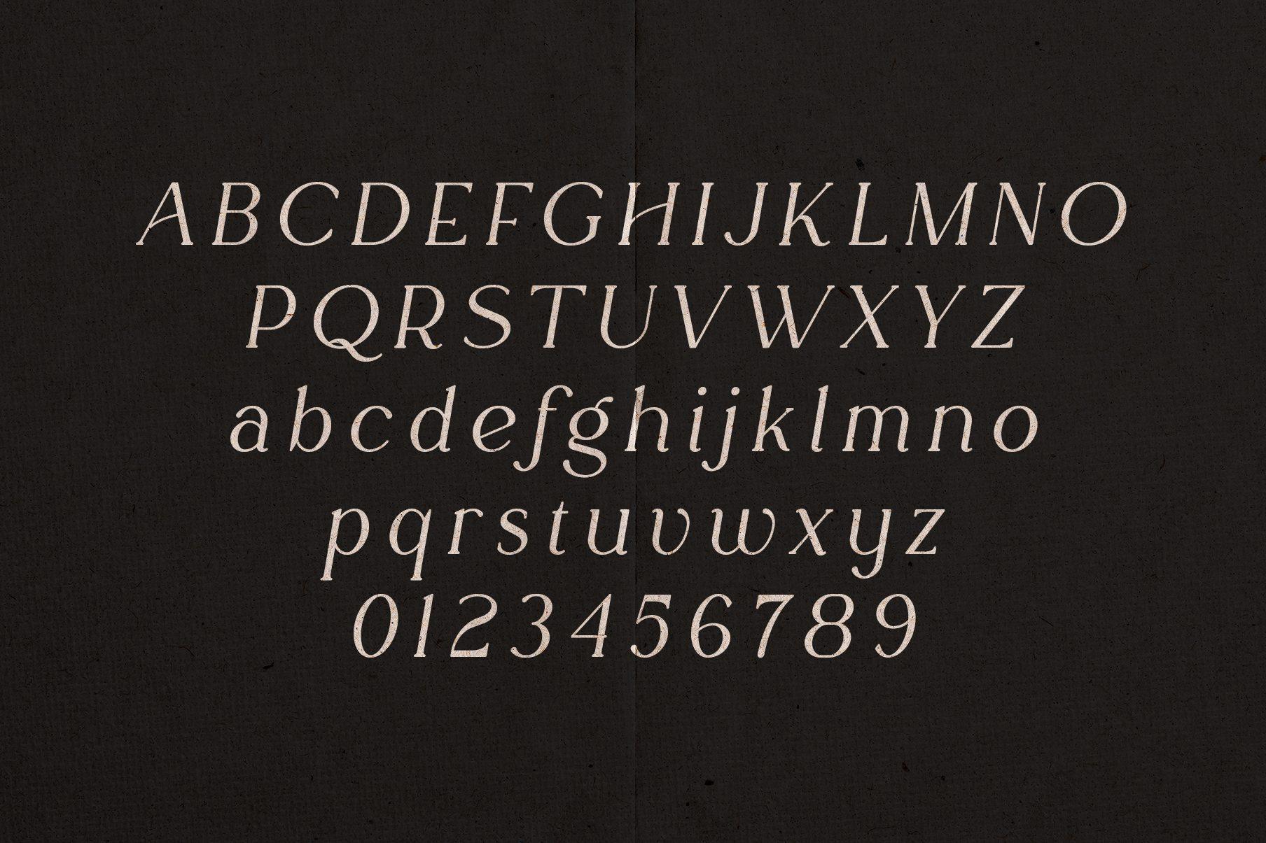 Rowan Cursive Font alphabet by vladfedotovv