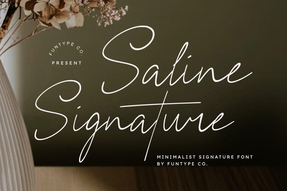 Saline Signature Font preview, minimalist signature font style