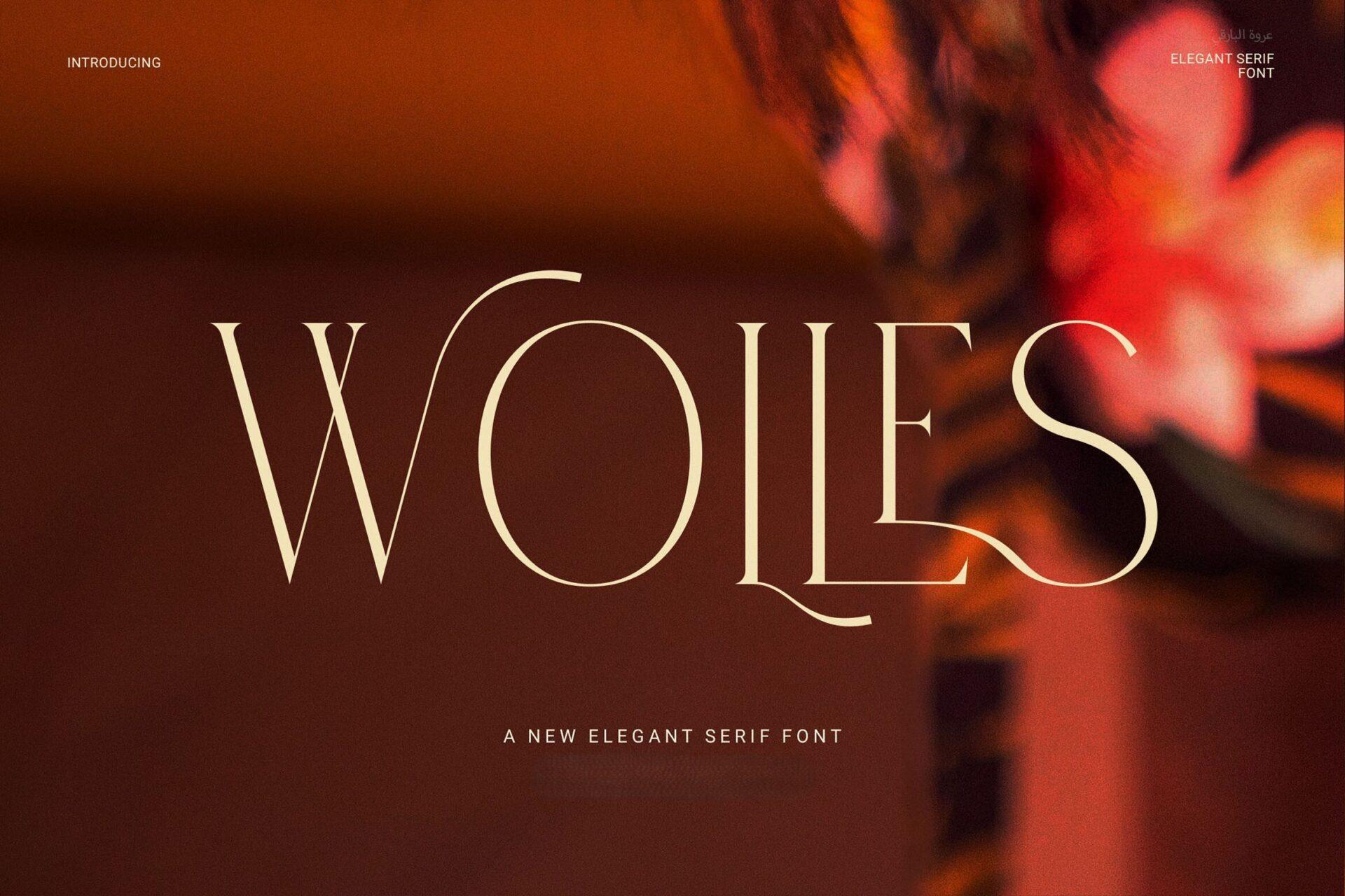Wolles Font preview, serif style from the different fonts styles alphabet list
